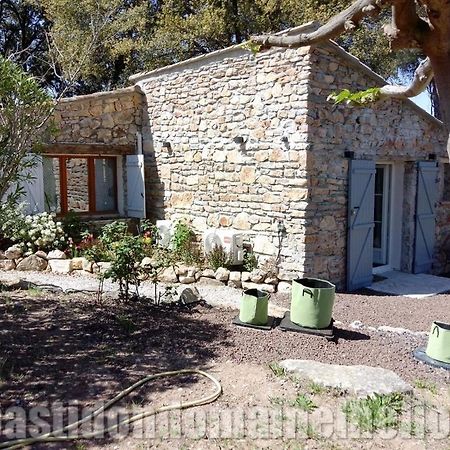 Bed and Breakfast Domaine L'Helion Taradeau Exterior foto