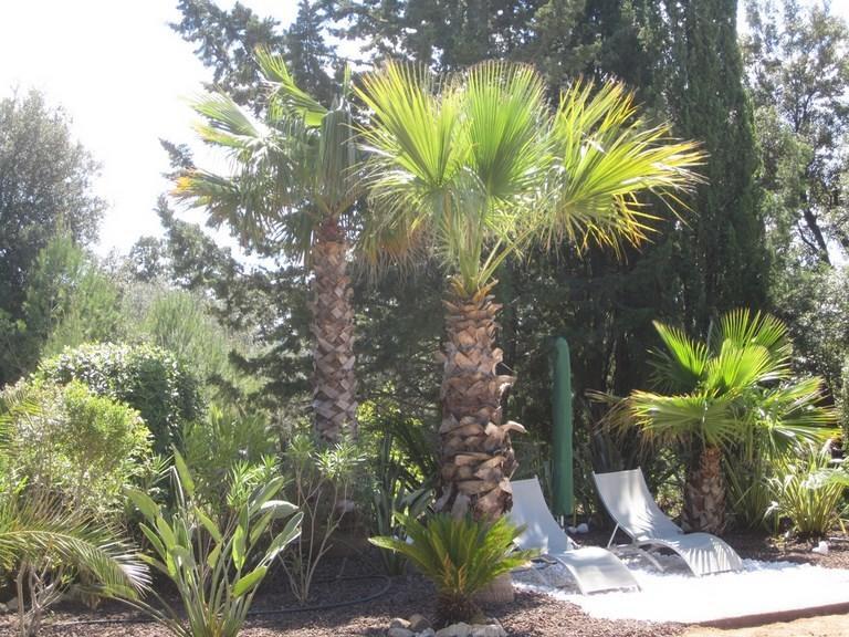 Bed and Breakfast Domaine L'Helion Taradeau Exterior foto